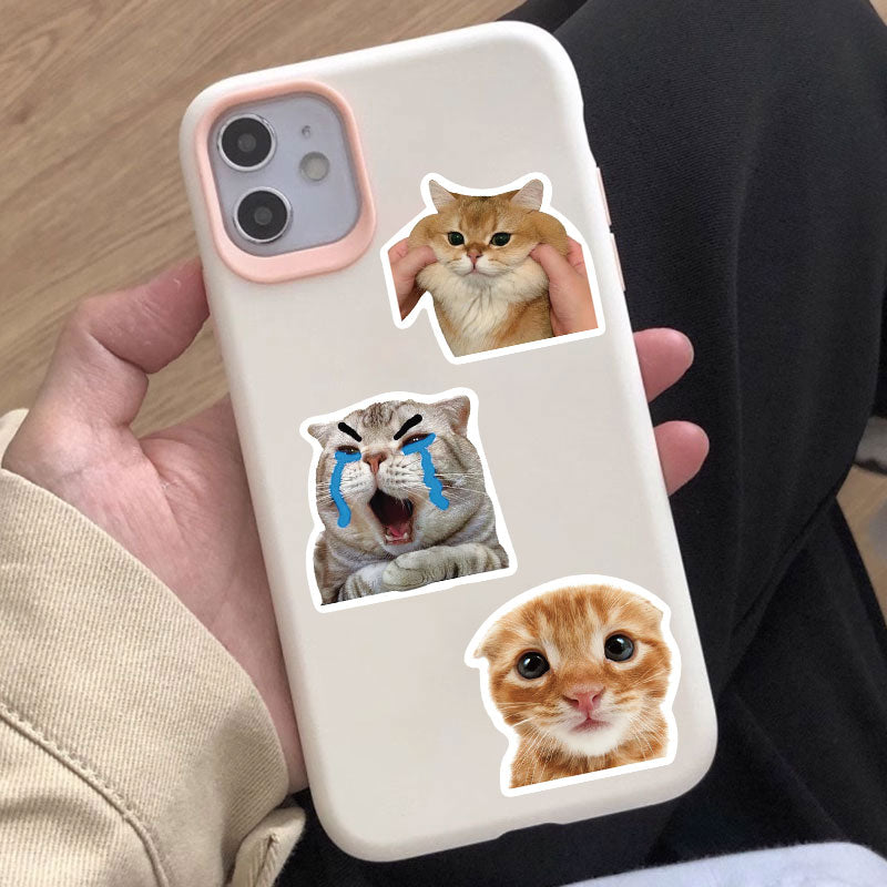 Cat Pattern Sticker