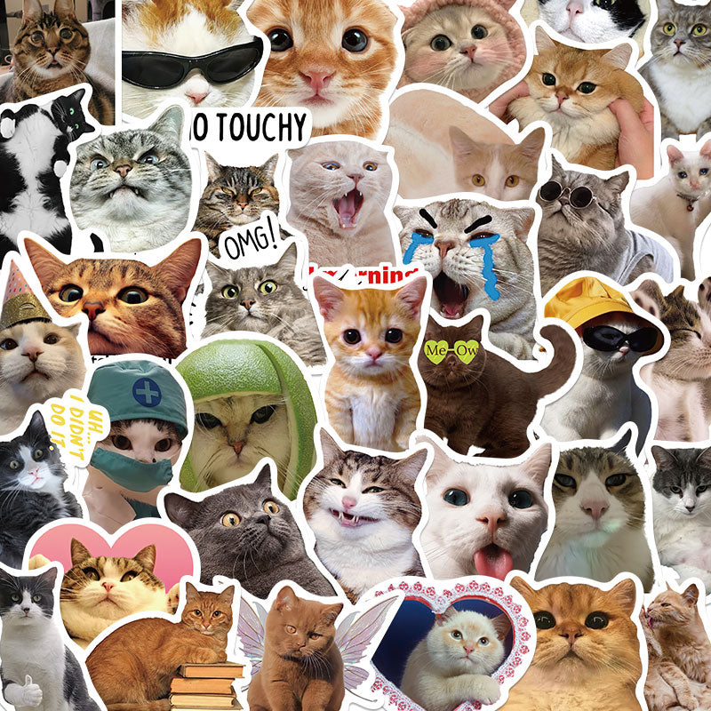 Cat Pattern Sticker