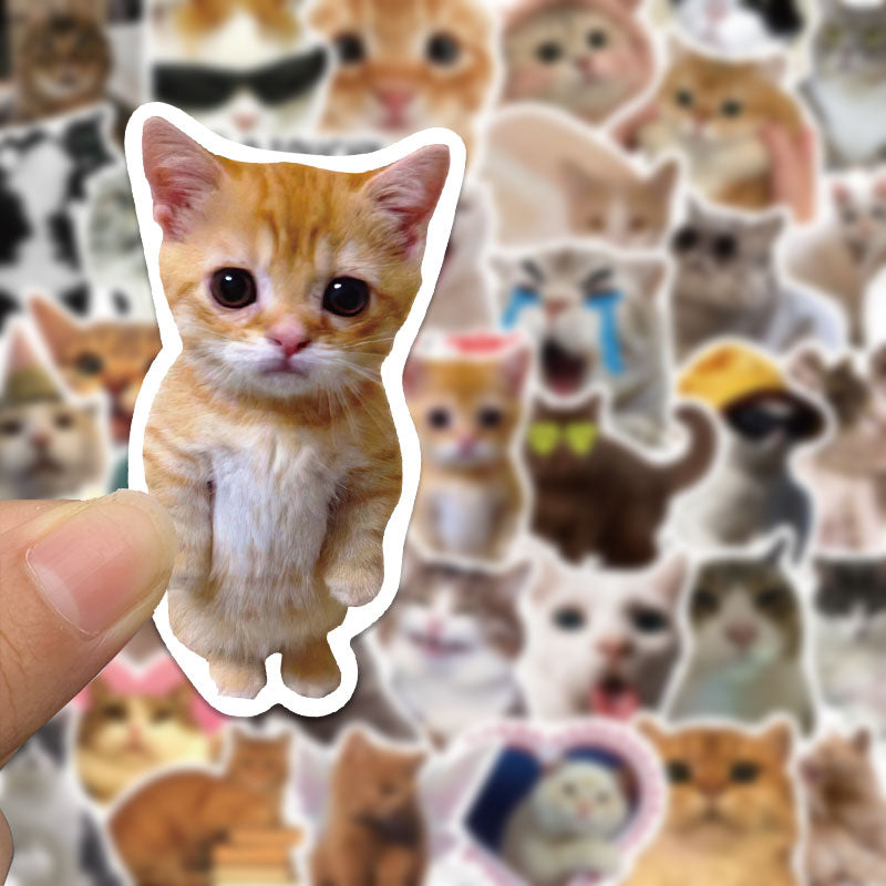 Cat Pattern Sticker